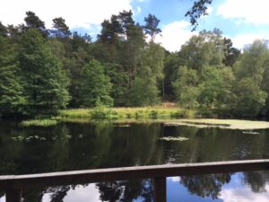 Natur- und Kunstpfad